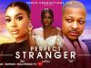PERFECT STRANGER
